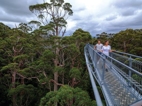 Valley Of The Giants Tree Top Walk - Australia Accommodation 2