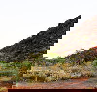 Whyalla Conservation Park - Australia Accommodation
