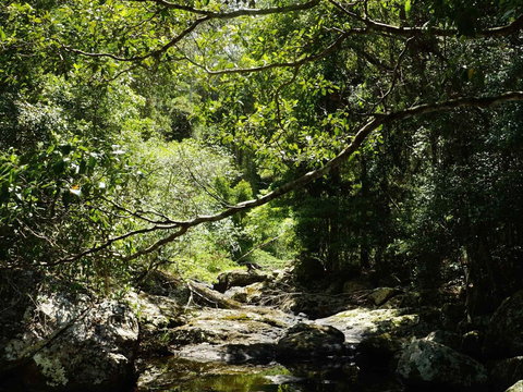 Witta - Australia Accommodation 0