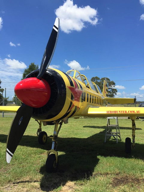 Aerohunter - Australia Accommodation 0