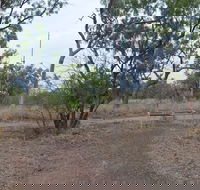 Alexander Forest Memorial - Australia Accommodation