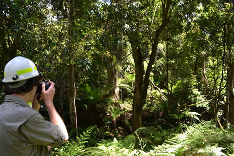 Alfred National Park - Australia Accommodation 0