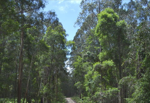 Alfred National Park - Australia Accommodation 1