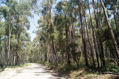 Alfred National Park - Australia Accommodation 2