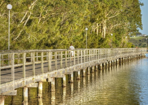 Apex Park Picnic Area Narooma - Australia Accommodation 1