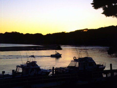Apex Park Picnic Area Narooma - Australia Accommodation 2