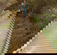 Balcombe Creek Estuary Boardwalk - Australia Accommodation