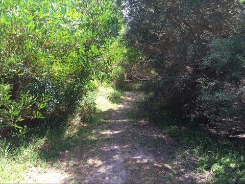 Bluff Track Fitness Trail - Australia Accommodation 2
