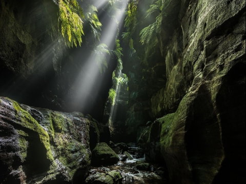 Blue Mountains Heritage Centre And Virtual Reality Experience - Australia Accommodation 0