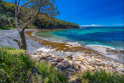 Burns Bay - Australia Accommodation 0