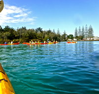 Byron Bay River Nature Kayak Tour - Australia Accommodation