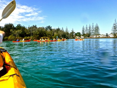Byron Bay River Nature Kayak Tour - Australia Accommodation 0