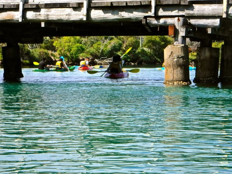 Byron Bay River Nature Kayak Tour - Australia Accommodation 1