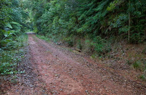 Cascade Mountain Bike Trail - Australia Accommodation 0