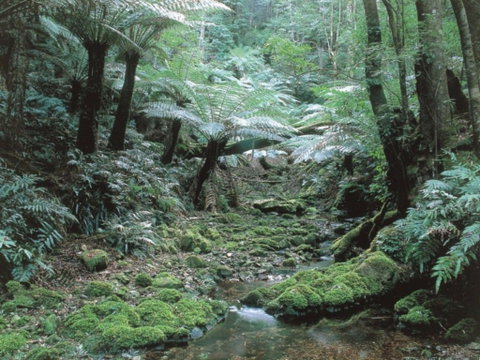 Corn Trail - Australia Accommodation 0