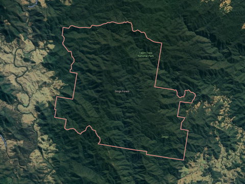 Dingo Forest - Australia Accommodation 0