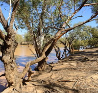 Eulo Five Mile Waterhole - Australia Accommodation