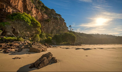 Greenglade Picnic Area - Australia Accommodation 0