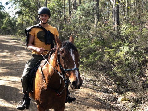 Horse Riding Tasmania - Australia Accommodation 2