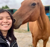 Horses Teaching Humans - Australia Accommodation