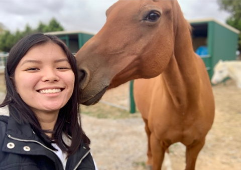 Horses Teaching Humans - Australia Accommodation 0