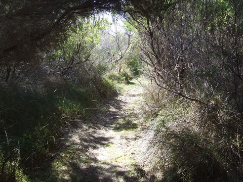 Jack And Hilda McArthur Walk - Australia Accommodation 0