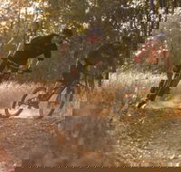 Kholo Gardens Trails - Australia Accommodation