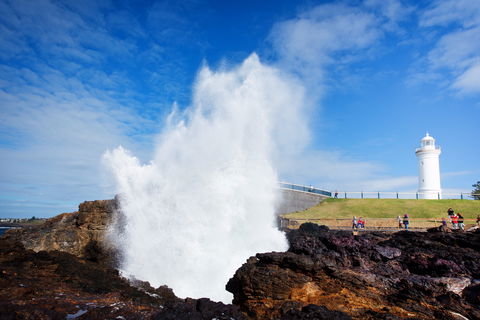 Kiama Blowhole - Australia Accommodation 0
