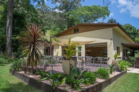 Kramer Photography Rainforest Gallery - Australia Accommodation 2