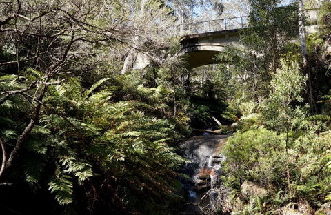 Leura Cascades - Australia Accommodation 2