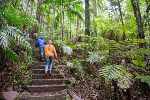 Maiala - Australia Accommodation 1