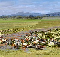 Marlborough - Australia Accommodation