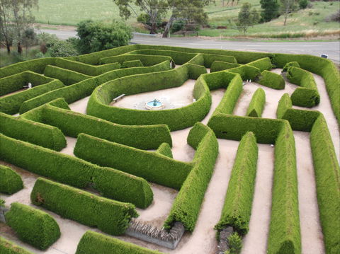 Mintaro Maze - Australia Accommodation 0