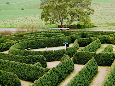 Mintaro Maze - Australia Accommodation 1