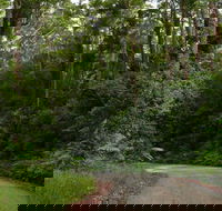 Moonpar Forest drive - Cascade National Park - Australia Accommodation
