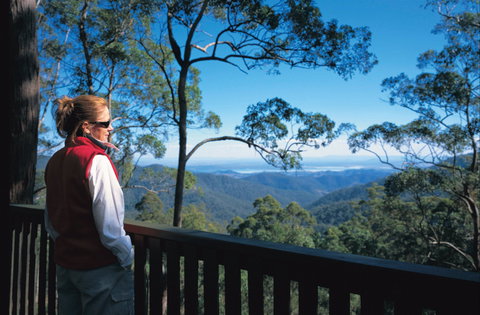 Mount Glorious - Australia Accommodation 1