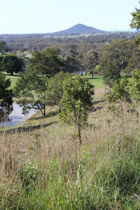 Mt Piper Nature Conservation Reserve - Australia Accommodation 1