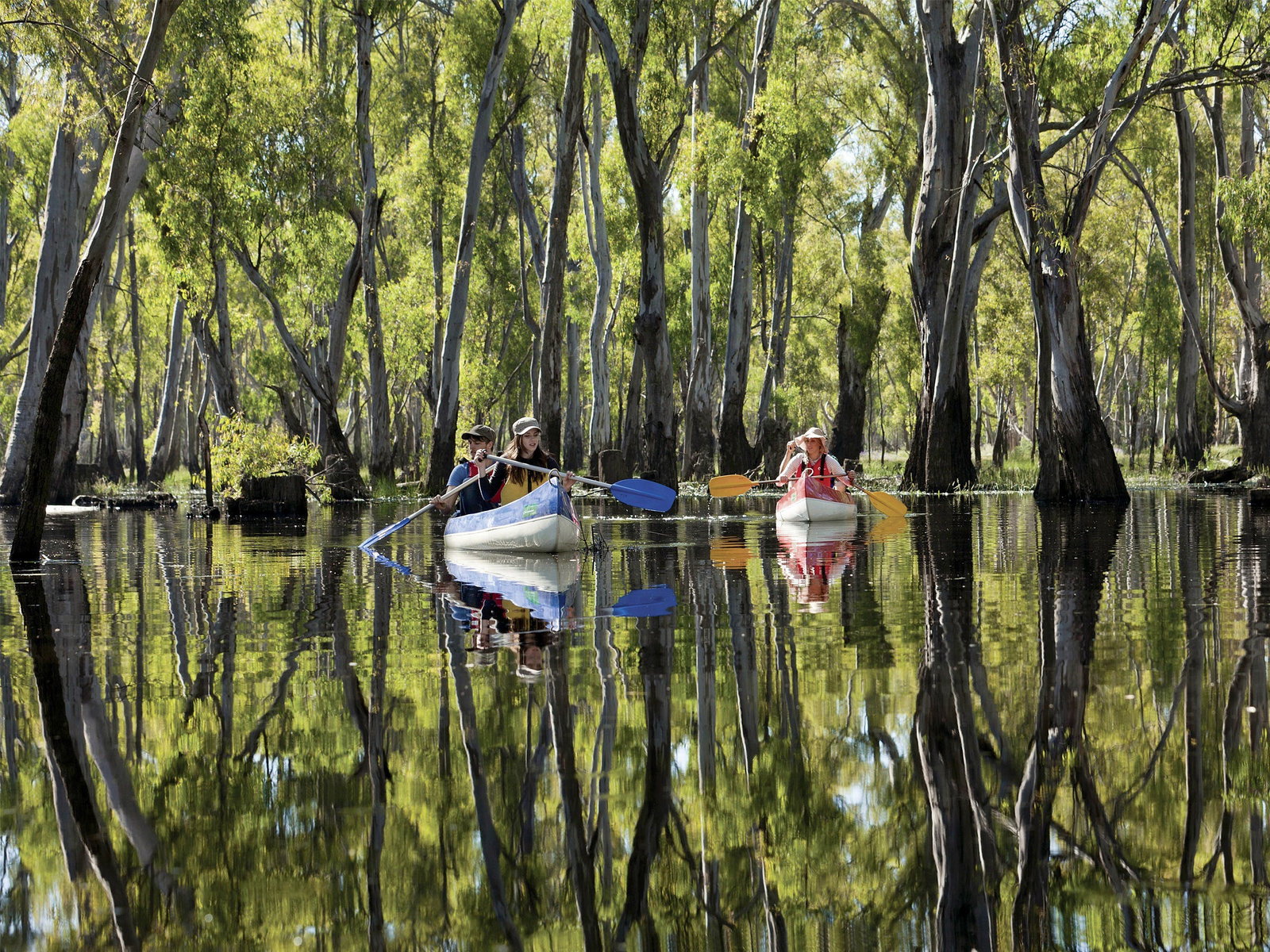 Warragoon NSW Australia Accommodation