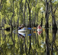 Murray River canoe trails - Australia Accommodation