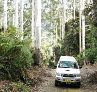 Orara Escarpment 4WD Touring Route - Australia Accommodation