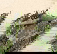 Pebbly Beach to Snake Bay walking track