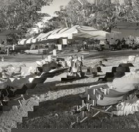Pioneer Park - Australia Accommodation