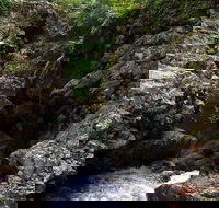 Potoroo Falls walk - Australia Accommodation