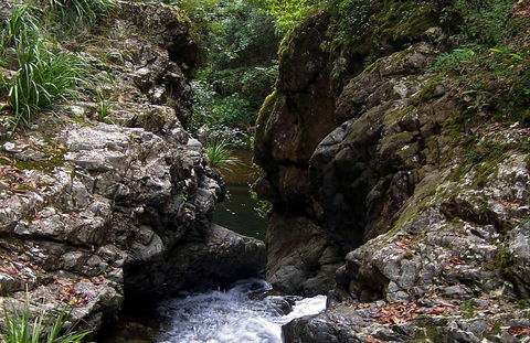 Potoroo Falls Walk - Australia Accommodation 0