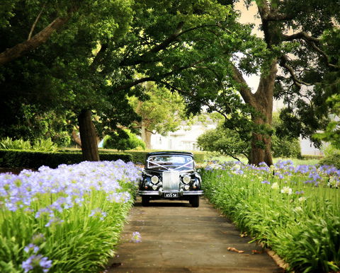 Queens Park, Toowoomba - Australia Accommodation 2