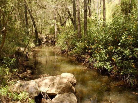 Sandy Creek Track - Australia Accommodation 0