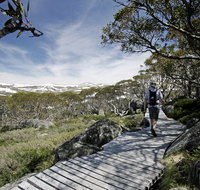 Snow Gums boardwalk - Australia Accommodation