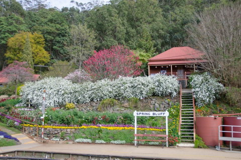Spring Bluff Railway Station - Australia Accommodation 1