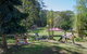 Spring Bluff Railway Station - thumb 2