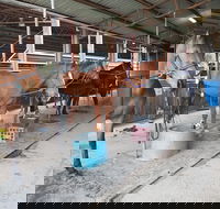 The Equine Club - Australia Accommodation